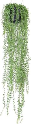 Zijdeplant Hangplant met pot Senecio kunstplant Driesprong Collection - Driesprong collection