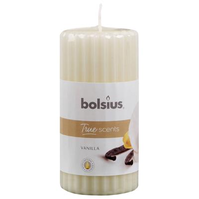 Bolsius True Scents stompkaars geur 120/58 vanilla 1 Stuks Bolsius True Scents stompkaars geur 120/58 vanilla 1 Stuks