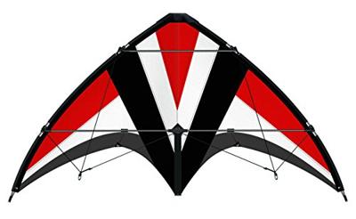 Günther Flugspiele Stuntvlieger Whisper 125 GX Spanwijdte 1250 mm Geschikt voor windsterkte 4 - 7 bft