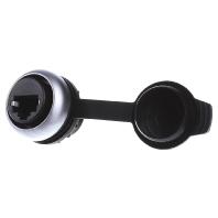 Eaton M22-RJ45-SA Frontelement 107413 RJ45, stekkerbehuizing Aantal polen (sensoren) 8 Zwart 1 stuk(s) - thumbnail