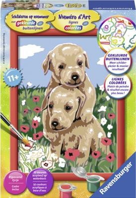 Schilderen op nummer Ravensburger Knuffelende puppies