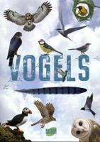Rebo Publishers Vogels - gids en natuurdagboek voor kinderen - thumbnail