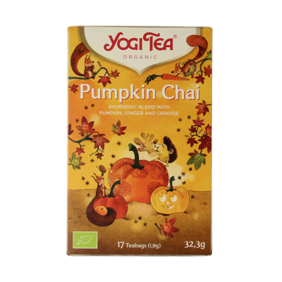 Pumpkin chai bio 17 Zakjes
