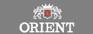 Horlogeband Orient UG1H-CO-A Staal Staal