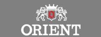 Horlogeband Orient UG1H-CO-A Staal Staal - thumbnail