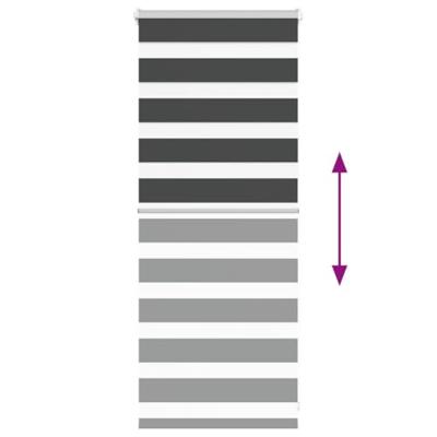 Zebra rolgordijn 60x100 cm stofbreedte zwart 55,9 cm