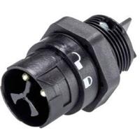 Wieland Electric 46.032.5053.1 Ronde connector Stekker, inbouw Totaal aantal polen: 2 + PE Serie (ronde connectoren): RST® MINI 1 stuk(s) - thumbnail