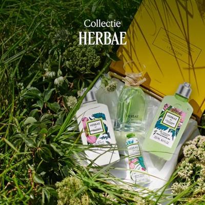 L&apos;Occitane Herbae Beauty Milk 250 ml