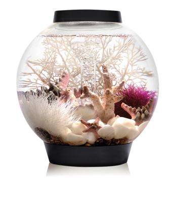 Oase 71999 biOrb CLASSIC 15 LED schwarz Aquarium 15 l Met LED-verlichting Oase 71999 biOrb CLASSIC 15 LED schwarz Aquarium 15 l Met LED-verlichting