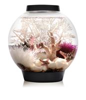 Oase 71999 biOrb CLASSIC 15 LED schwarz Aquarium 15 l Met LED-verlichting - thumbnail