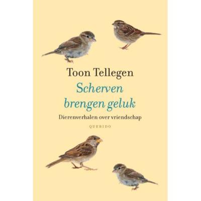 Scherven brengen geluk Scherven brengen geluk