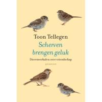 Scherven brengen geluk - thumbnail