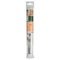 Bosch Accessoires Slangenboor | Zeskant | 25X160X235mm | 11mm - 2609255252 - thumbnail