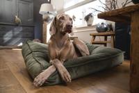 DBL LIGKUS NALINO HND GRN 100X70X15 - thumbnail