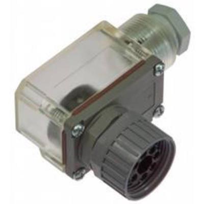 Pepperl+Fuchs 807718 Kabelconnector Aantal polen (sensoren): 6 Bus, haaks 1 stuk(s)