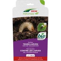 Aaltjes tegen larven van de taxuskever 50 m2 DCM Natuurlijke Vijanden - Dcm natuurlijke vijanden - thumbnail