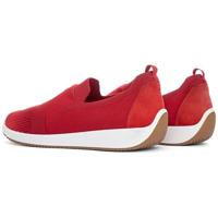 Ara 1254042 - alle - thumbnail