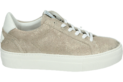 Floris van Bommel VINNI 05.44 - alle