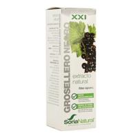 Soria Natural Ribes Nigrum XXI Extract - thumbnail