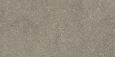 Munich Taupe wandtegel 25x50