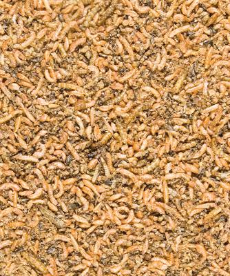 Versele-laga Menu Nature - Insectenmix - 250 g