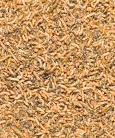 Versele-laga Menu Nature - Insectenmix - 250 g - thumbnail