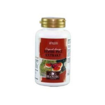 Hanoju Reishi extract 400mg 90 Tabletten
