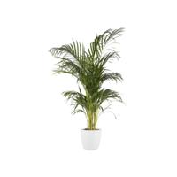 Elho pot brussels rond d16cm wit - thumbnail