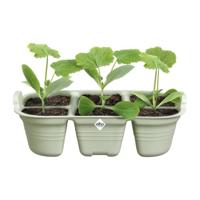 Elho Green Basics zaaitray 22cm steengroen - thumbnail