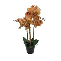 Phalaenopsis Orchidee in pot x5 60 cm Tiger Yellow kunstplant Buitengewoon de Boet - Buitengewoon de boet - thumbnail