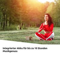 TechniSat DIGITRADIO 2 Radio DAB+, VHF (FM) DAB+, FM, Bluetooth Wekfunctie Rood-zilver - thumbnail