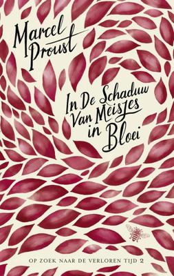 In de schaduw van meisjes in bloei - Marcel Proust - ebook