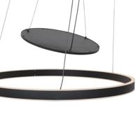 Steinhauer Led hanglampRinglux 2x led zwart - 3514ZW - thumbnail