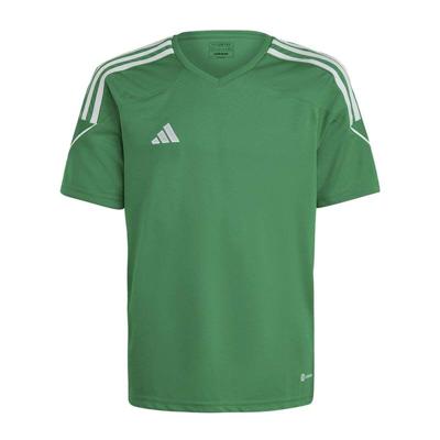 Voetbal short met korte mouwen voor kinderen Adidas Tiro 23 Groen Maat 11-12 Jaar