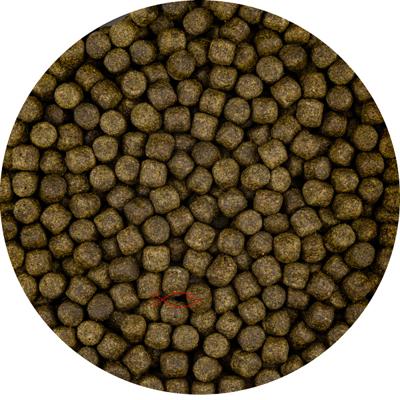 Vivani Color Koi Voer 6mm Pellets - Eiwitrijk met Spirulina - 5L Emmer voor Intense Kleur
