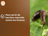 Biologische meststof OR BRUN - thumbnail