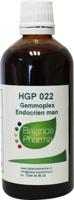 Balancepharma HGP022 Gemmoplex endocrien man 100 Milliliter - thumbnail