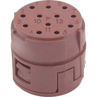 EPIC Signal M23 P-inzetstukken, 12-polig 73002713 73002713 LAPP Inhoud: 20 stuk(s) - thumbnail