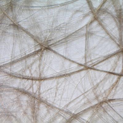 Vaessen Creative • sizoweb 5mx30cm in koker beige