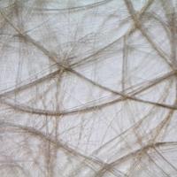 Vaessen Creative • sizoweb 5mx30cm in koker beige - thumbnail