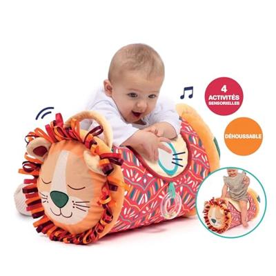 Rollend activiteitencentrum Leeuw LUDI meerkleurig
