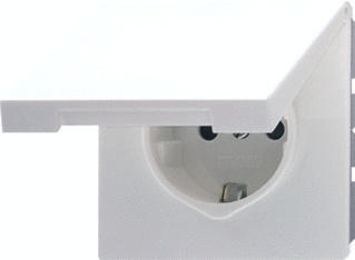 Jung wandcontactdoos 1-voudig met randaarde en Klapdeksel