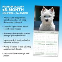 West Highland White Terrier Kalender 2026 - thumbnail