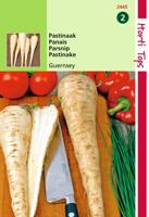Zaden Pastinaak Guernsey (Pinksternakel) Hortitops - Hortitops - thumbnail