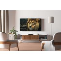 Telestar DIGISTAR C HD HD-kabelreceiver Kaartlezer Aantal tuners: 1 - thumbnail