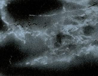 Wicotex Joy fix plakfolie carrara zwart 2mtr x 45cm