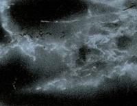 Wicotex Joy fix plakfolie carrara zwart 2mtr x 45cm - thumbnail