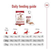 Royal Canin Medium Adult hondenvoer 4kg - thumbnail