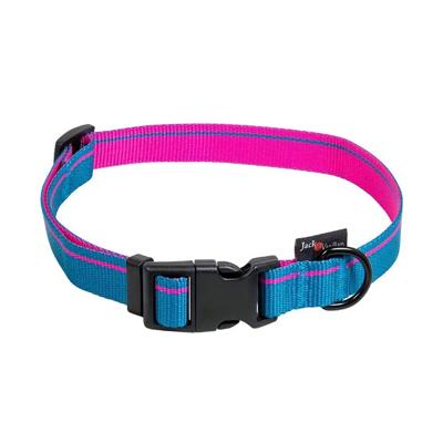 Jack and Vanilla Hondenhalsband - Nylon - Kliksluiting - Blauw - 35 cm Jack and Vanilla Hondenhalsband - Nylon - Kliksluiting - Blauw - 35 cm