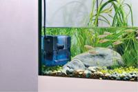 Eden WaterParadise 94142 FIN 50 Interne aquariumfilter - thumbnail
